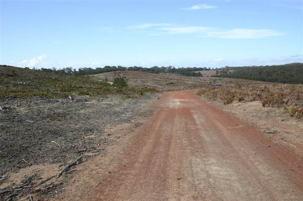 Penrose State Forest - Southern Highlands (9/03/2013 8:04:19 PM)