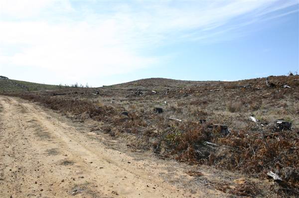 Penrose State Forest - Southern Highlands (9/03/2013 8:05:03 PM)