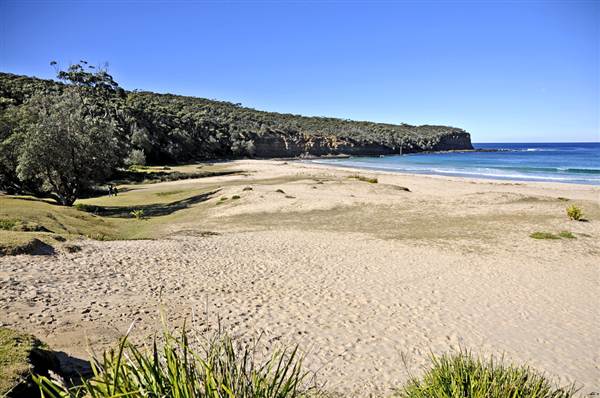 Pebbly Beach (9/03/2013 8:07:28 PM)