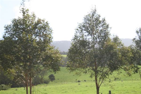 Tullimbar Village (9/03/2013 10:15:33 PM)