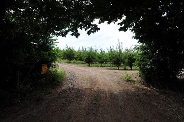 Wilgro Orchard (10/03/2013 12:44:32 PM)