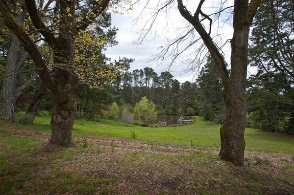 Parklands Country Garden & Lodges (10/03/2013 2:38:36 PM)