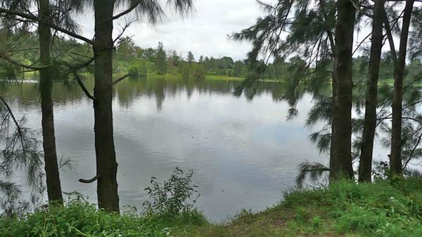 Yarramundi Reserve South (11/03/2013 11:02:22 AM)