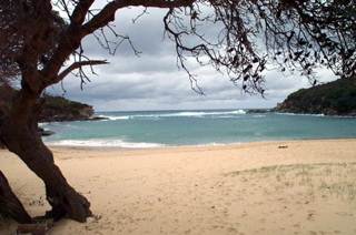 Wattamolla Beach (11/03/2013 12:59:38 PM)