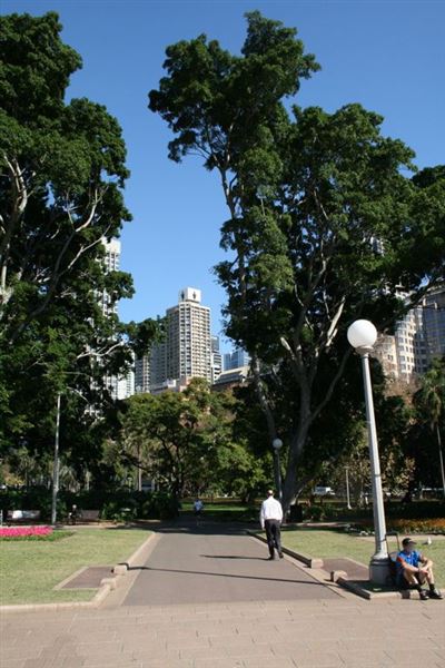 Hyde Park and Archibald Fountain - Sydney CBD (11/03/2013 1:09:59 PM)