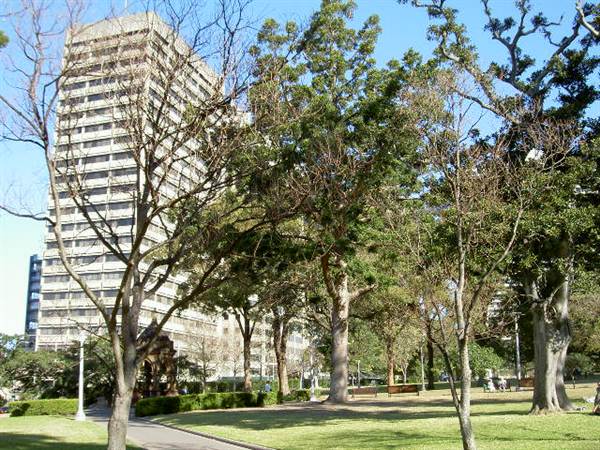 Hyde Park and Archibald Fountain - Sydney CBD (11/03/2013 1:12:55 PM)