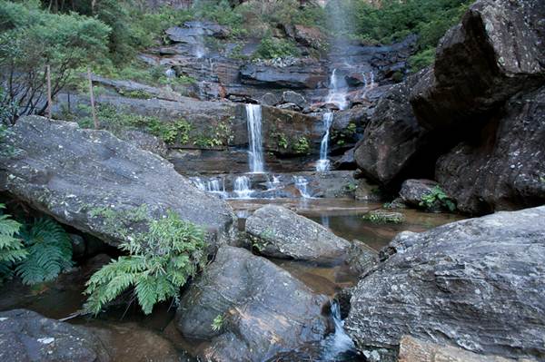 Wentworth Falls (11/03/2013 2:40:12 PM)