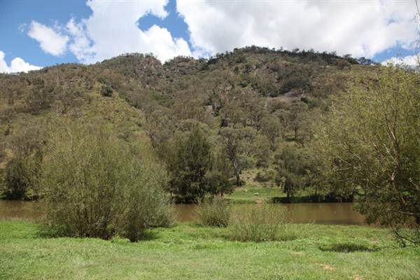 Wollondilly River Station (11/03/2013 3:00:42 PM)