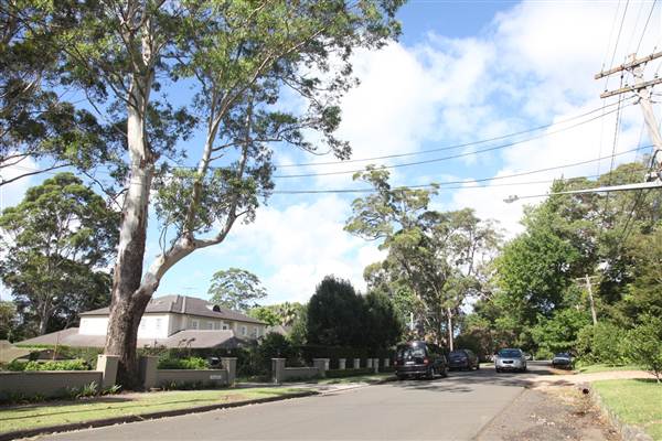 Braeside St - Pymble (13/03/2013)