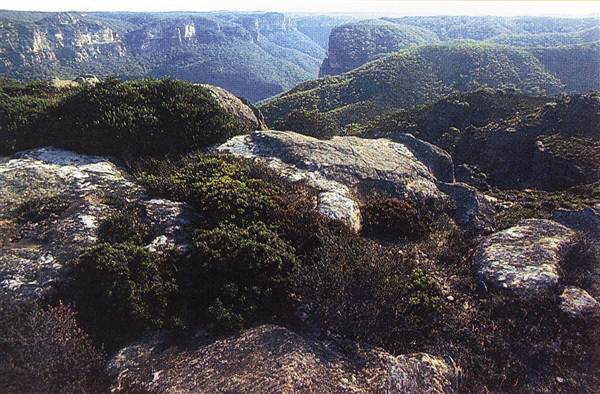 Blue Mountains National Park (24/04/2013)