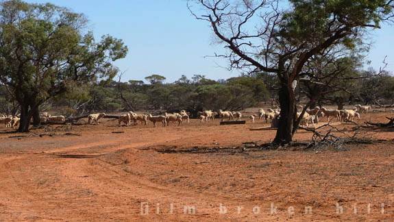Broken Hill (24/04/2013)