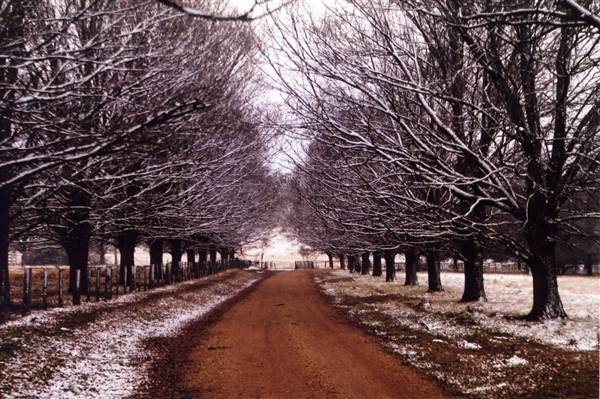 Armidale (26/04/2013)