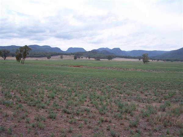 Baradine to Coonabarabran road (26/04/2013)