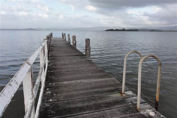 Lake Illawarra North-Wollamai Park (15/09/2011 - Credits: Tony Brown /SISE)
