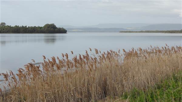 Lake Illawarra North-Holborn Park (15/09/2011 - Credits: Tony Brown /SISE)
