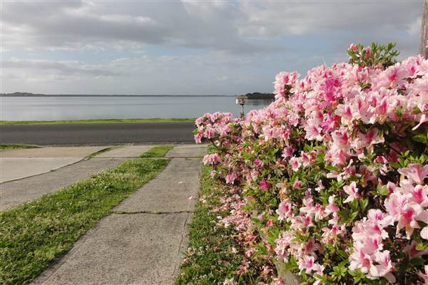 Lake Illawarra North-Holborn Park (15/09/2011 - Credits: Tony Brown /SISE)