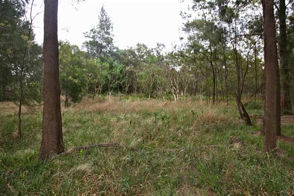Yarramundi Reserve (17/07/2013)