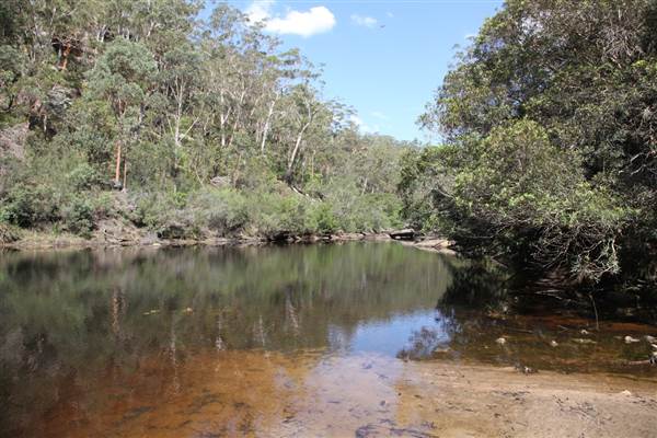 Georges River Nature Reserve (17/07/2013)
