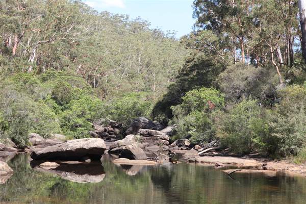 Georges River Nature Reserve (17/07/2013)