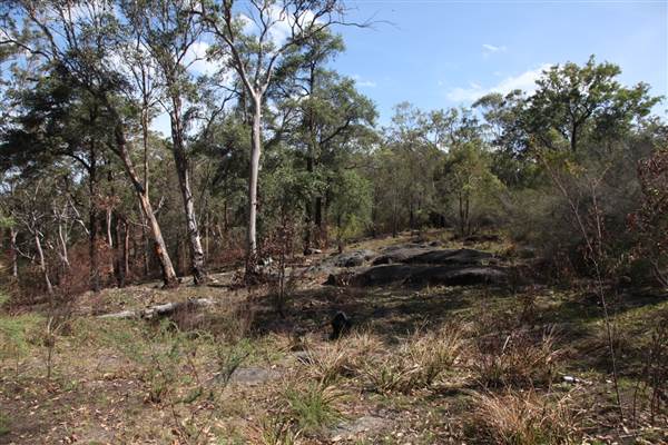 Georges River Nature Reserve (17/07/2013)