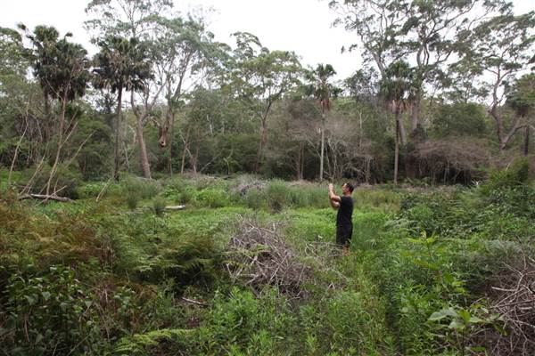 Narrabeen (17/07/2013)