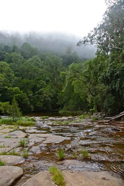 Kangaroo valley (28/11/2013)