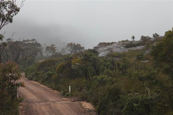Mt Banks (28/11/2013)