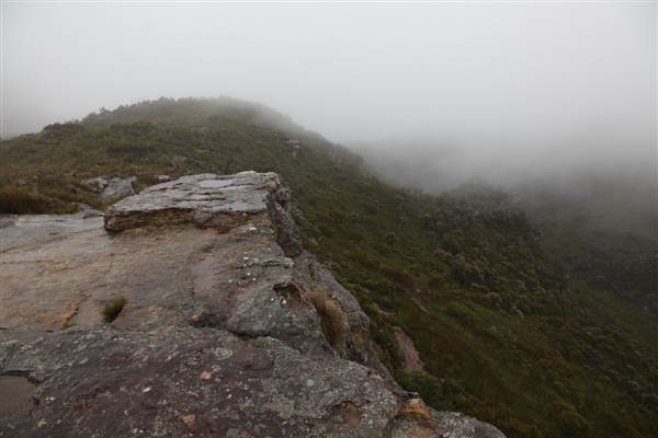 Mt Banks (28/11/2013)