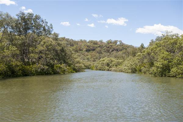 Georges River (5/12/2013)