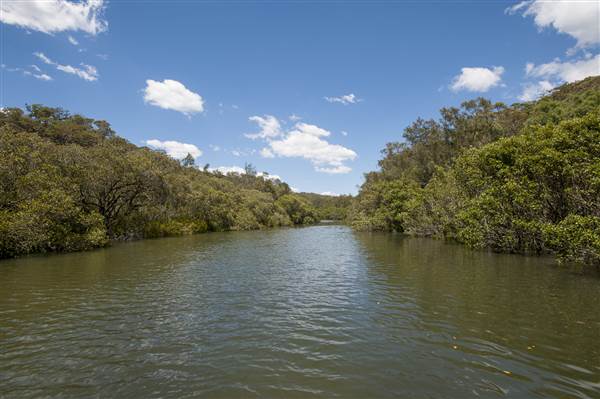 Georges River (5/12/2013)