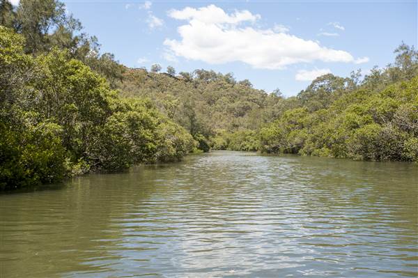 Georges River (5/12/2013)