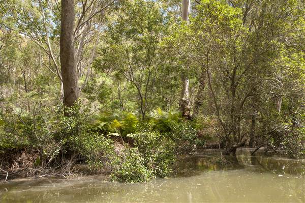 Georges River (5/12/2013)