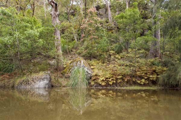 Georges River (5/12/2013)
