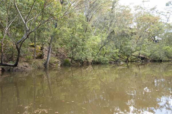 Georges River (5/12/2013)