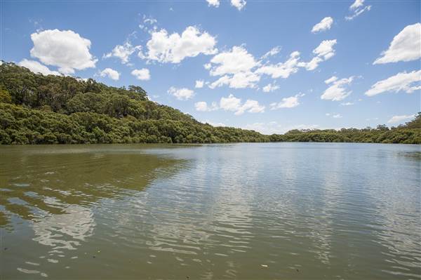Georges River (5/12/2013)