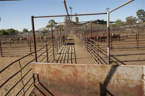 Coonamble (26/11/2013)