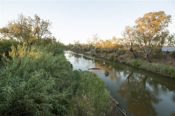 Coonamble (26/11/2013)