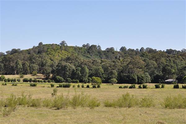 Scenic NSW Equine Centre (25/09/2013 - Credits: Ivy Carrano, Garth Birch)