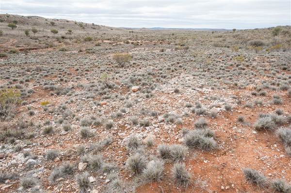 Broken Hill Sculptures Site and Living Desert (6/06/2013 - Credits: Colin McDougall)