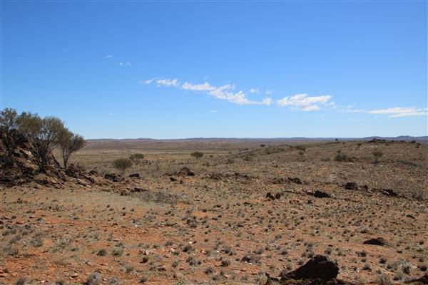 Broken Hill Sculptures Site and Living Desert (13/09/2013 - Credits: Lyndall Roberts)