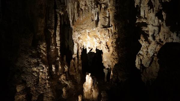 Jenolan Caves (9/06/2014 - Credits: Mary Barltrop)