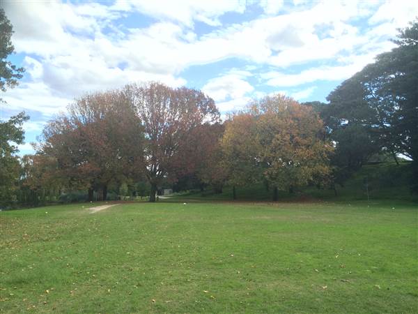 Centennial Park (25/06/2014)