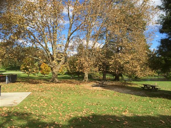 Centennial Park (25/06/2014)