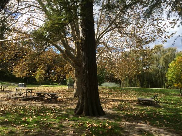 Centennial Park (25/06/2014)