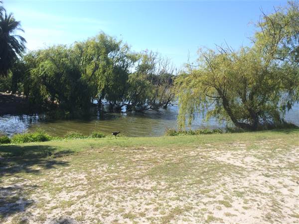 Centennial Park (25/06/2014)