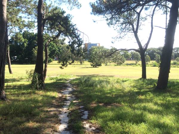 Centennial Park (26/06/2014)