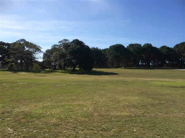 Centennial Park (26/06/2014)