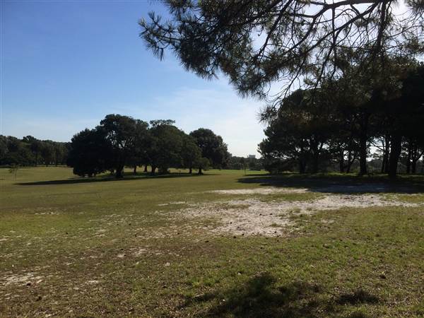 Centennial Park (26/06/2014)