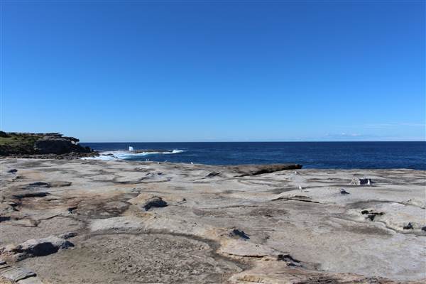 Clovelly Beach (7/07/2014)