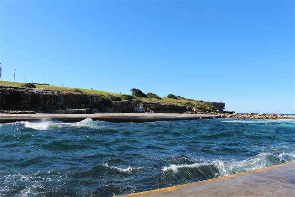 Clovelly Beach (7/07/2014)